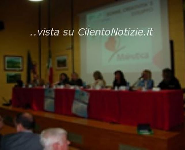 08032014 pertosa incontro