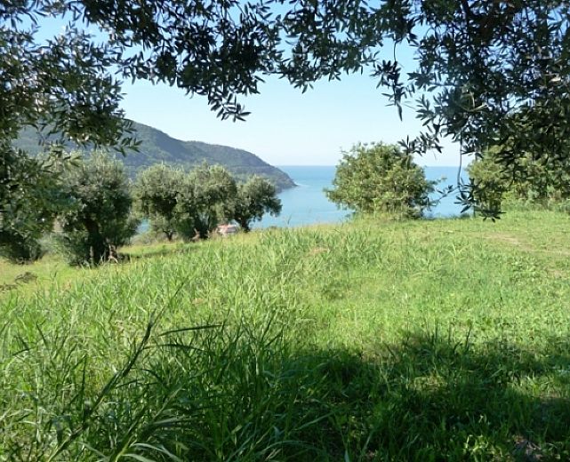 08032014 verde del parco cilento