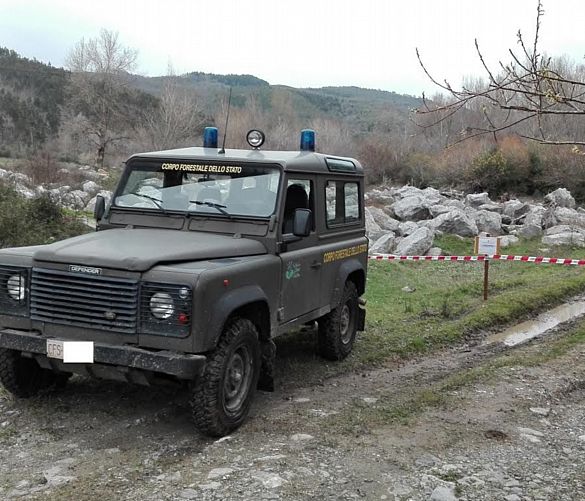 08032016 auto forestale large
