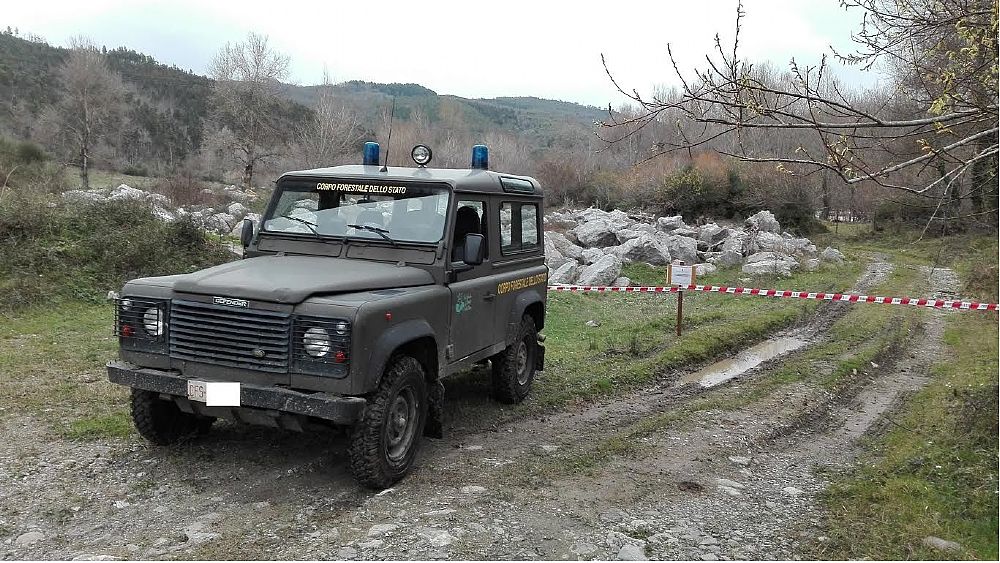 08032016 auto forestale large