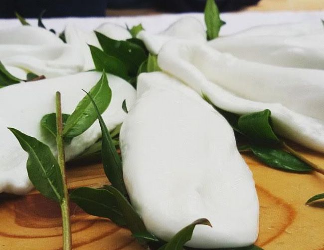 08032016 mozzarella mortella