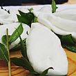 Vallo della Lucania Notizie foto - 08032016 mozzarella mortella