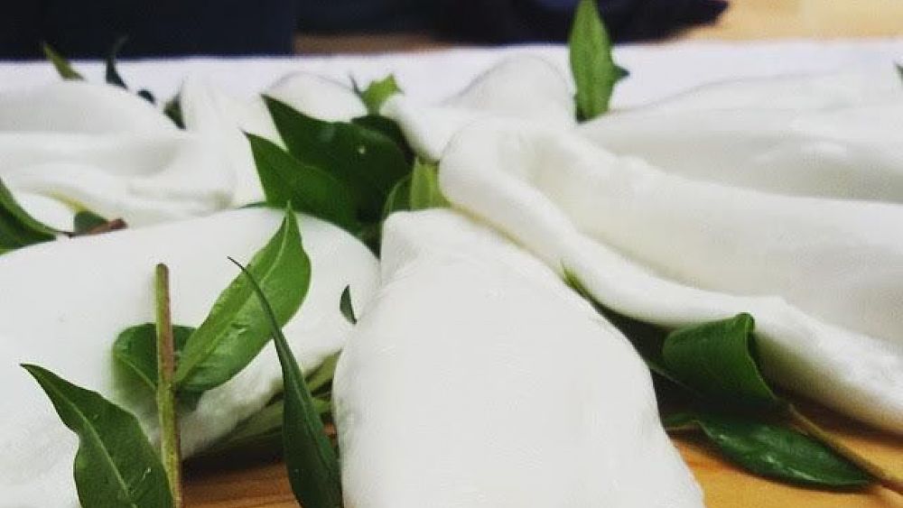 08032016 mozzarella mortella