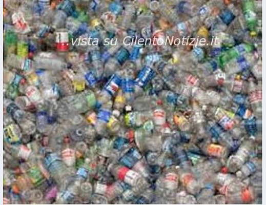 Paolo-Abbate foto - 08042013 bottigliette di plastica 02