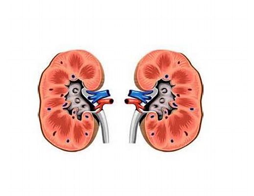 Floriana-Iuliano foto - 08042015 rene