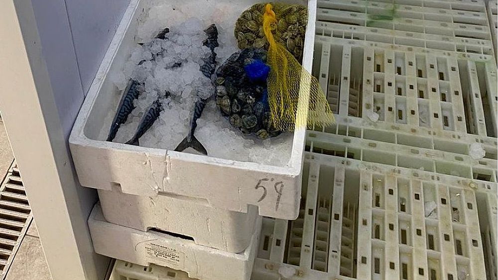 08042021 photo 2021 04 08 15 37 19 08042021 photo 2021 04 08 15 37 19