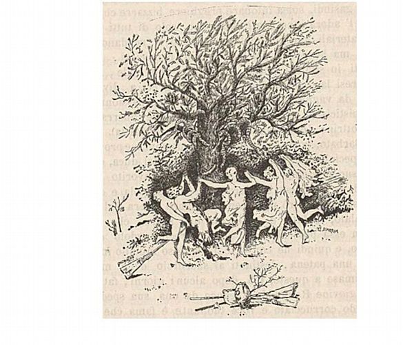 Marisa-Russo foto - 08042025 noce di benevento