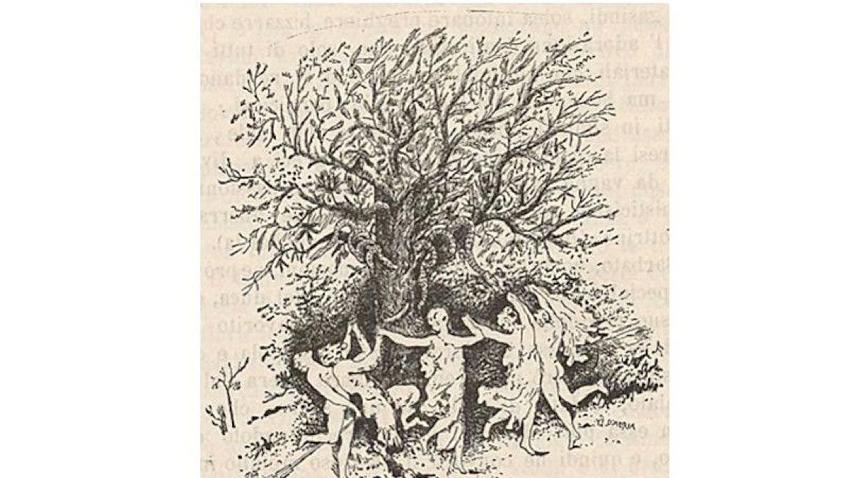 08042025 noce di benevento 08042025 noce di benevento