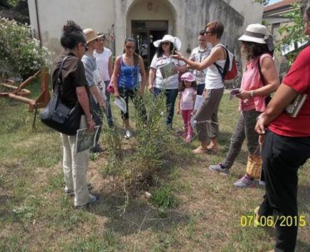 08062015 art abbate 01 08062015 art abbate 01