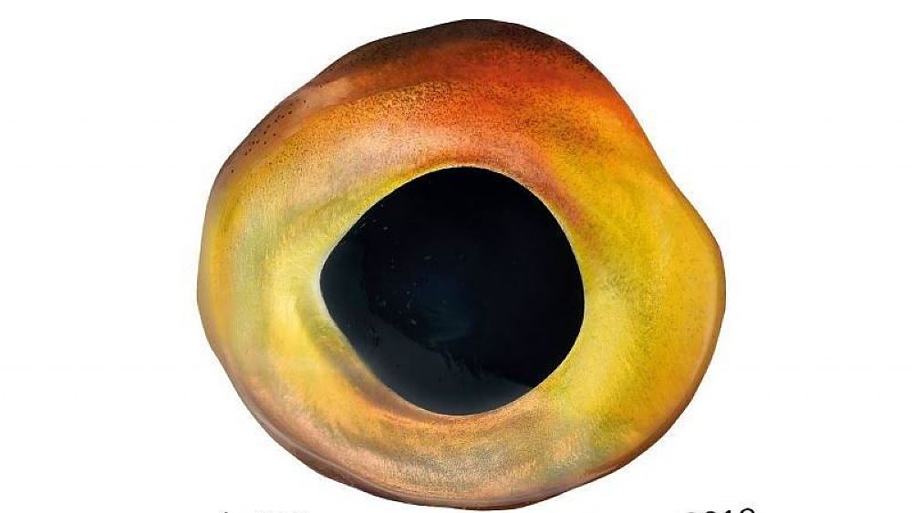 08062018 salerno letteratura 2018