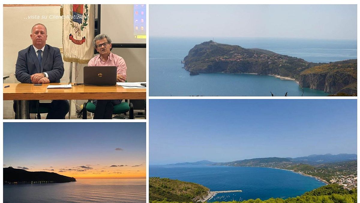 08062024 collage centola 08062024 collage centola