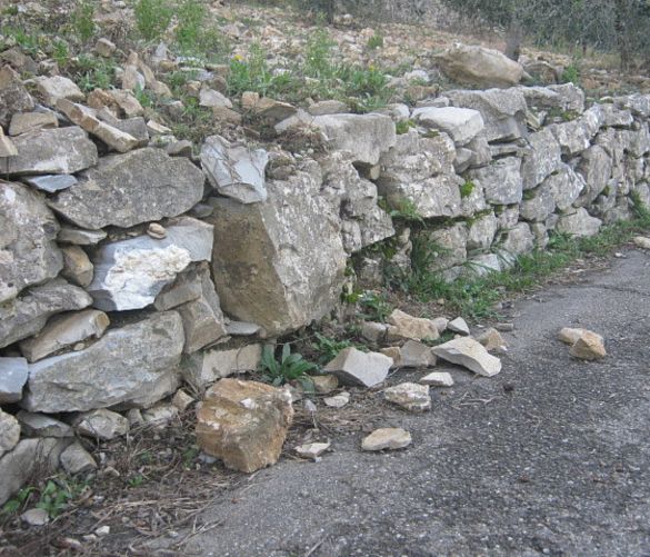 Giuseppe-Lembo foto - 08072017 danni muri a secco