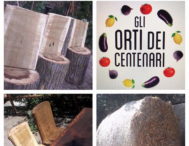 08072017 orti cilento centenari