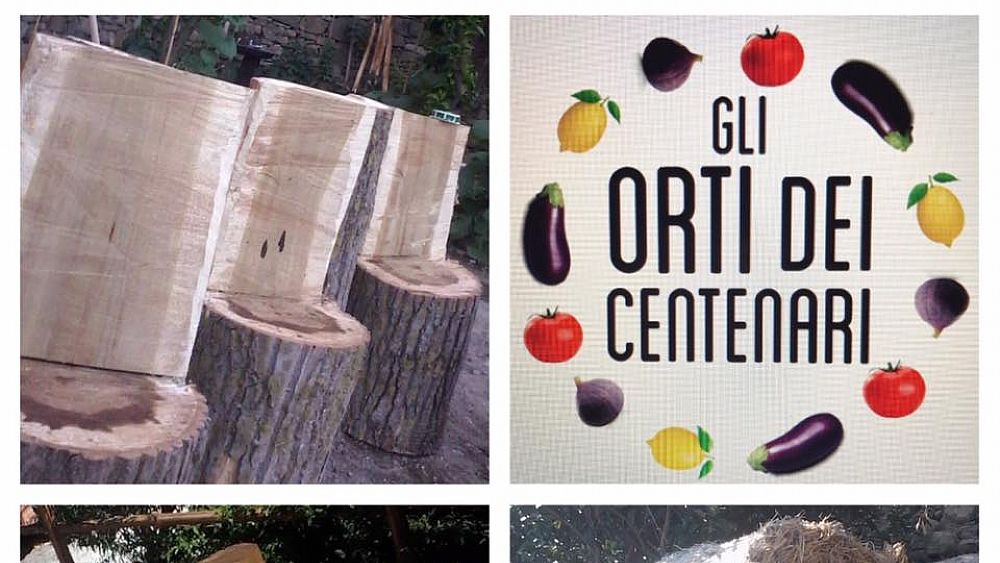 08072017 orti cilento centenari