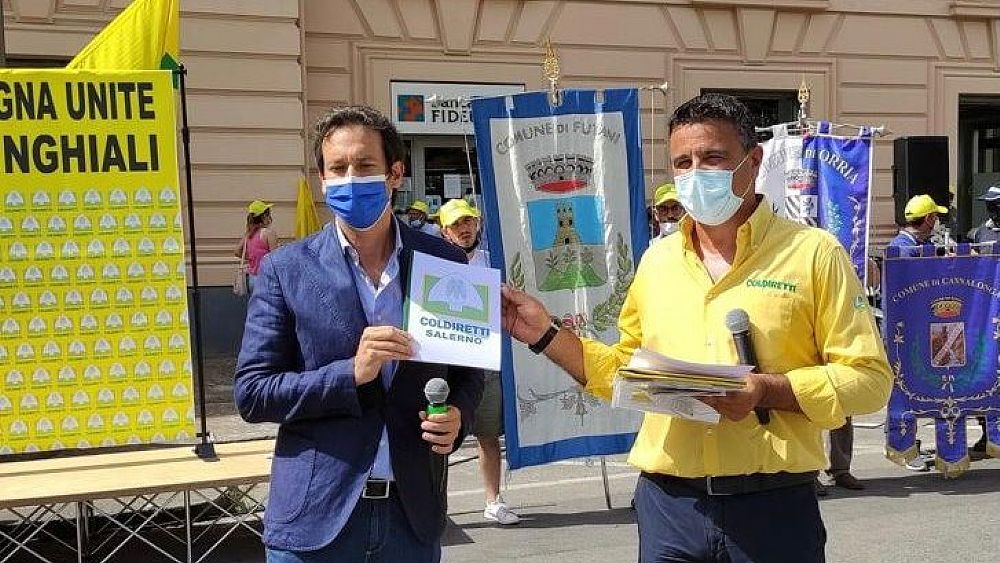 08072021 img 20210708 wa0085