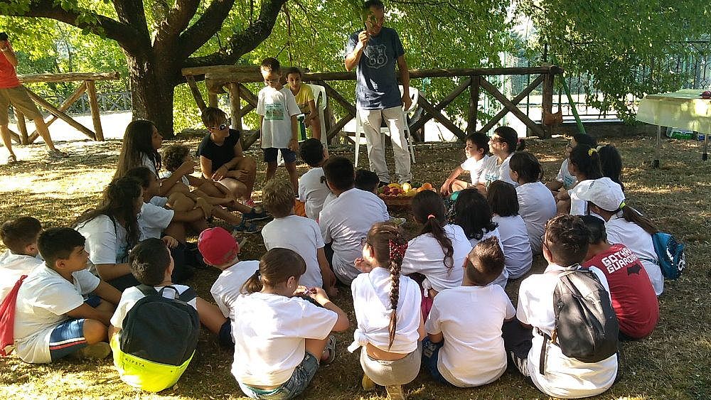 08082019 tortorellabambini2