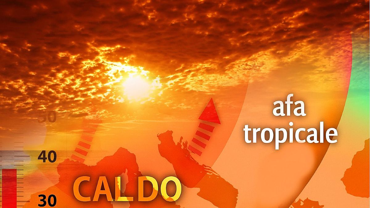 08082025 edi caronte 8825 08082025 edi caronte 8825