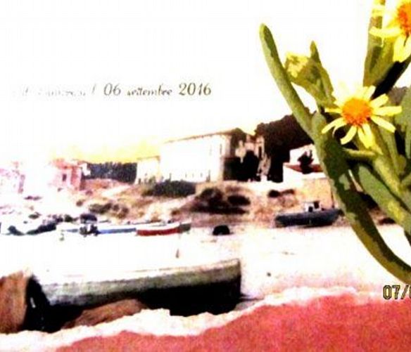 Marisa-Russo foto - 08092016 premio inula 1