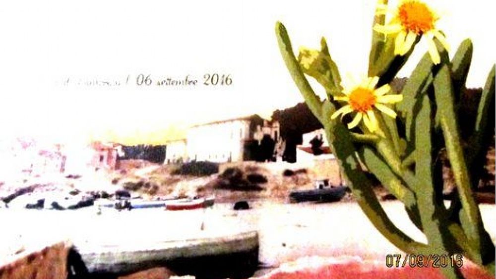 08092016 premio inula 1 08092016 premio inula 1