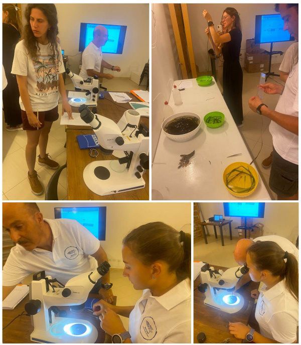 pioppi summer school