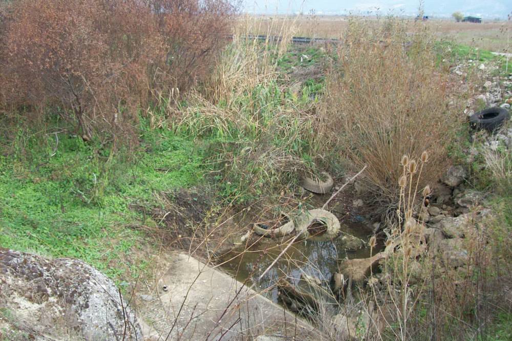 rifiuti abbandonati fiume