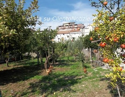 Paolo-Abbate foto - 08102012 sapri orti giardini valorizzare