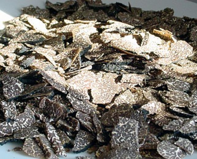 08102014 tartufo colliano