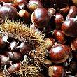 Spettacoli-eventi foto - 08102017 sagra castagne