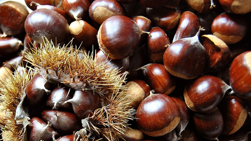 08102017 sagra castagne