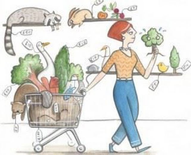 08112014 il valore della natura