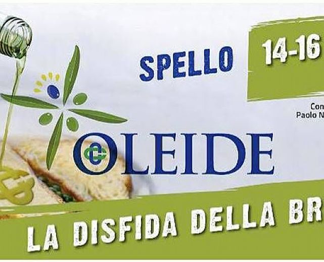 08112014 oleide 2014