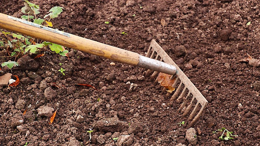 08112017 rastrello agricoltura