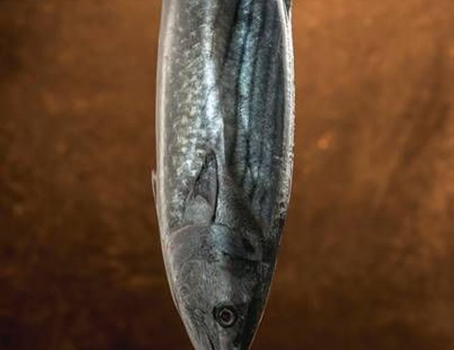 08112019 image003