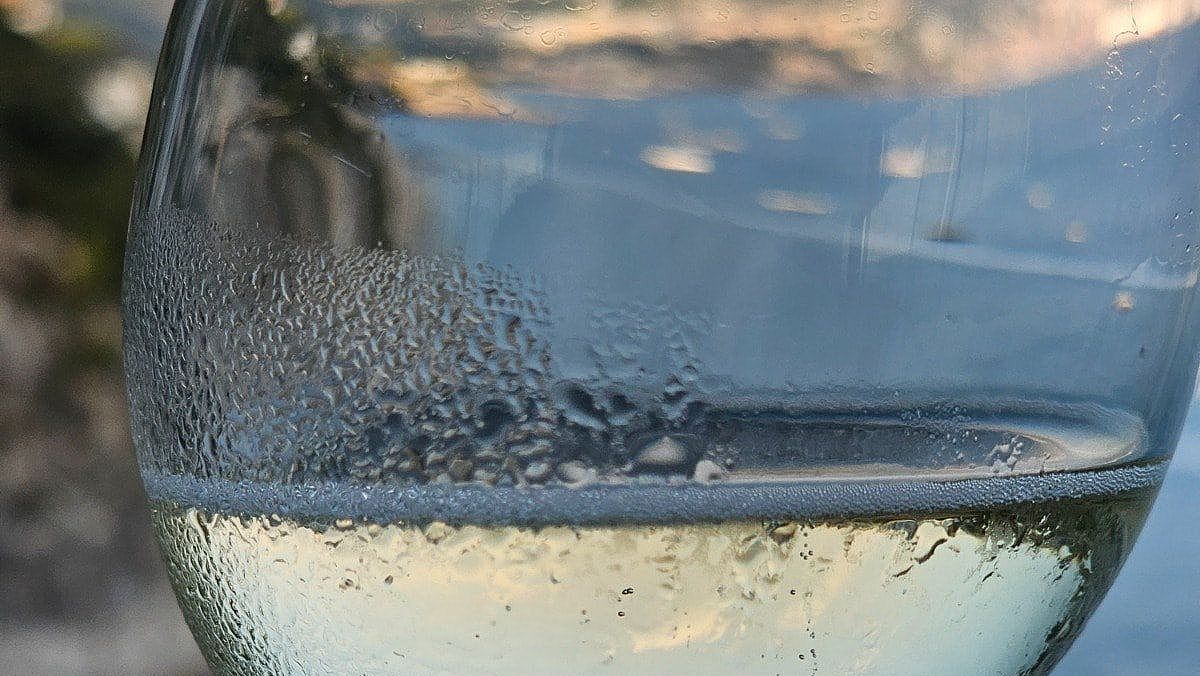 08112023 guida bio 2024   2