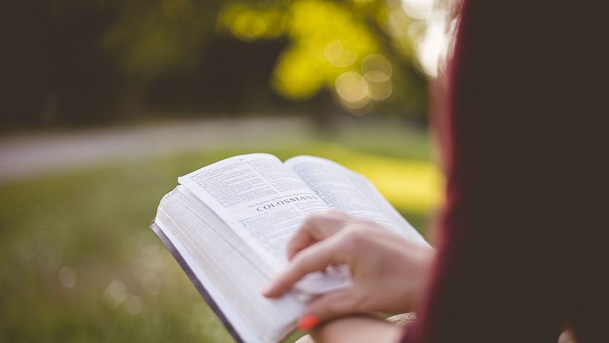 08112024 lobri lettura 08112024 lobri lettura