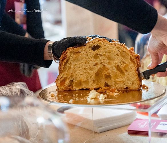 08112024 panettone artista salerno
