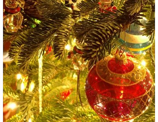 08122014 addobbi natalizi