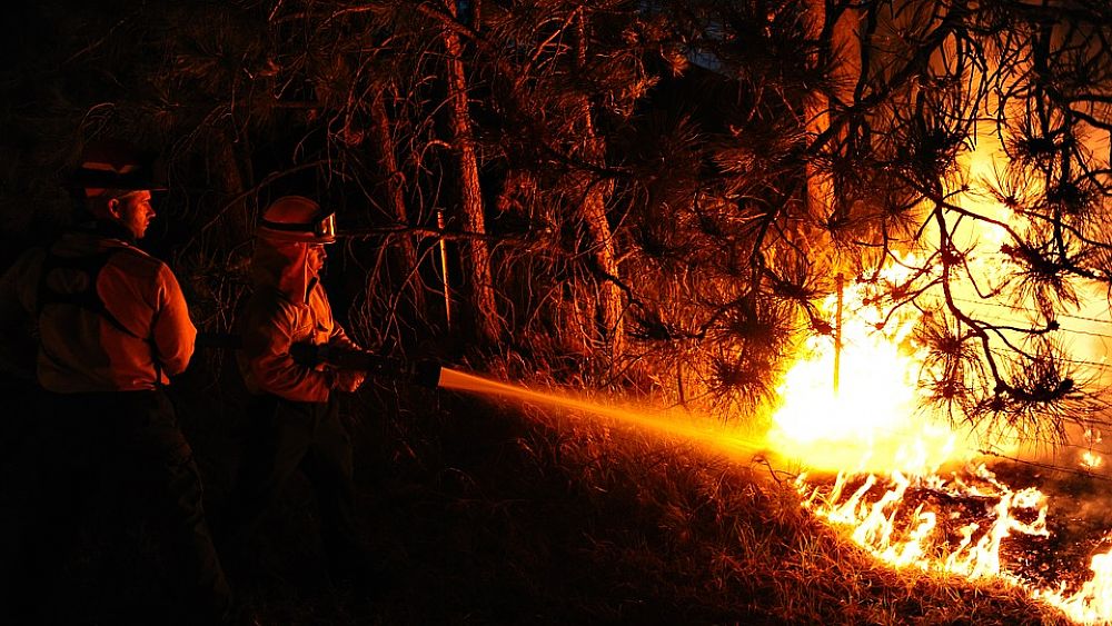 08122016 incendio foto