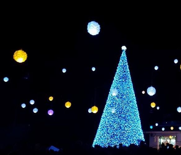 08122019 albero natale palinuro