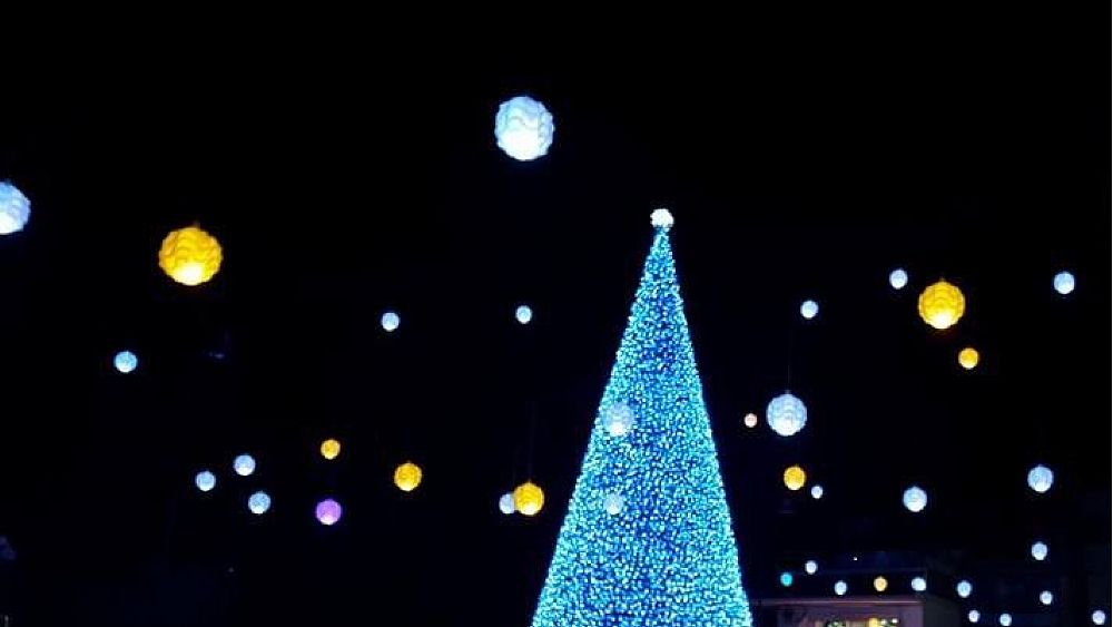 08122019 albero natale palinuro 08122019 albero natale palinuro