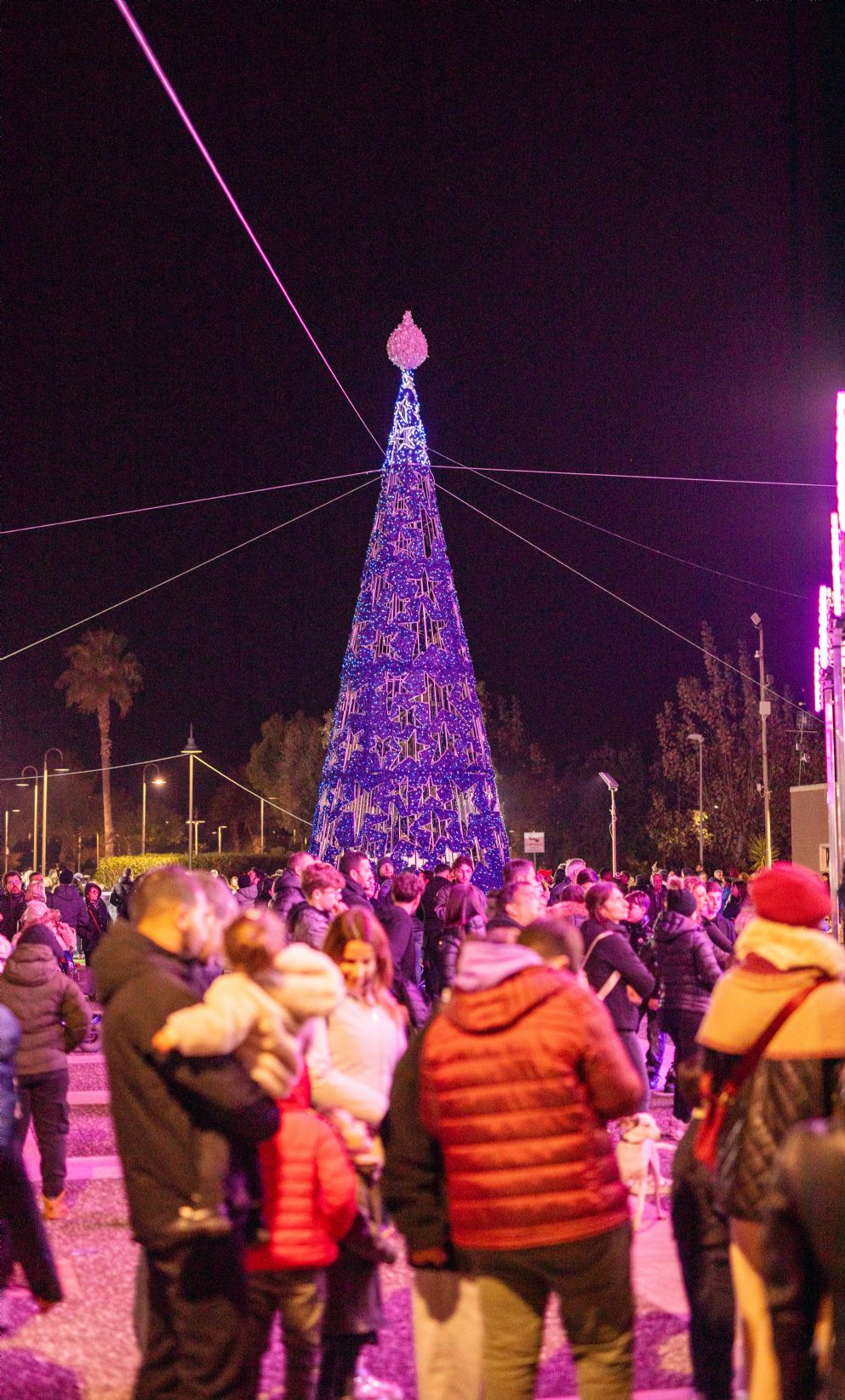 albero di natale ascea