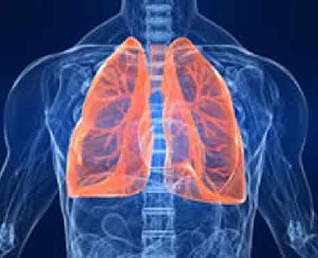 09012014 malattie respiratorie