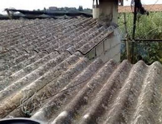 Paolo-Abbate foto - 09012015 art abbate 01