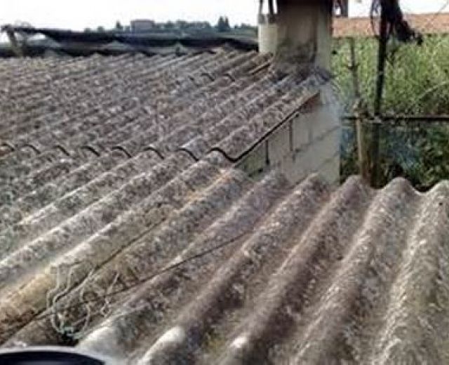 09012015 art abbate 01