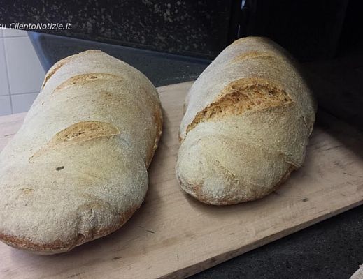 09012016 filone di pane