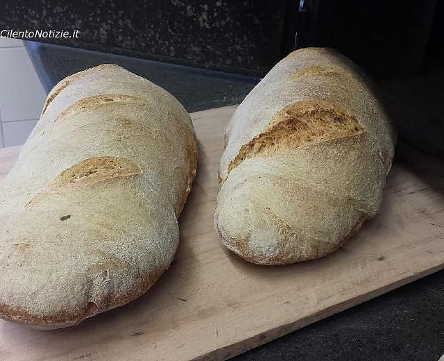 09012016 filone di pane