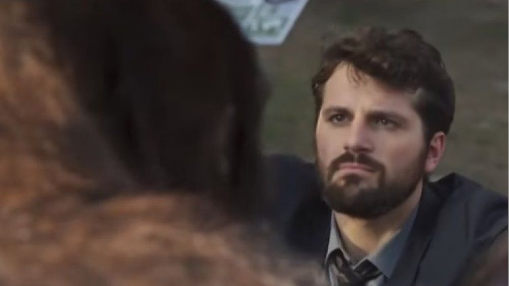 09012019 attenti al gorilla