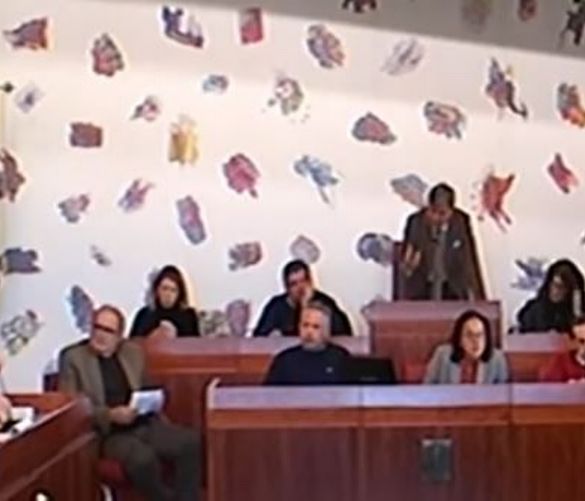 09012020 Consiglio comunale