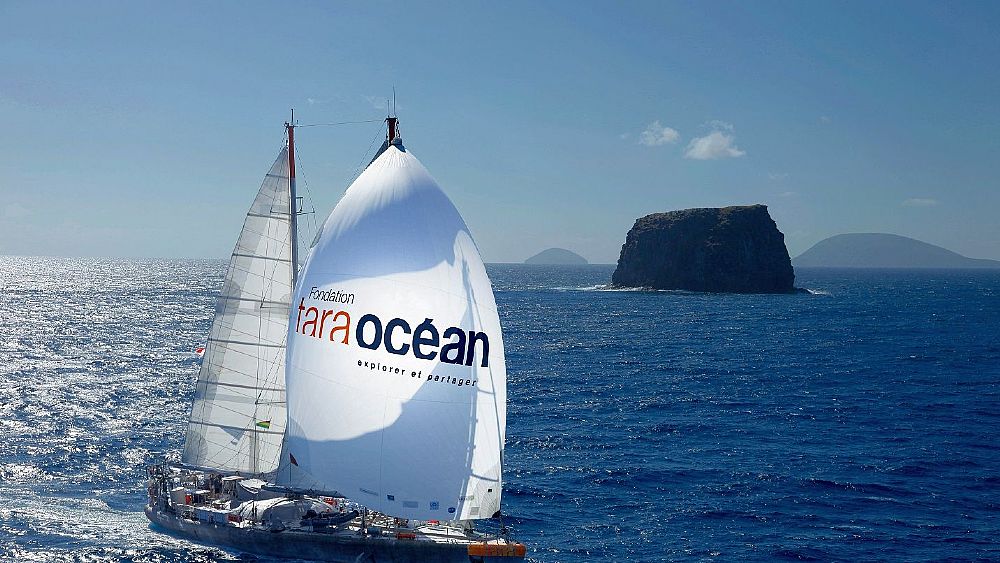 09022021 tara ocean 09022021 tara ocean