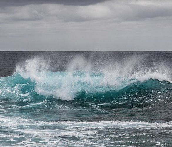 09022022 oceani
